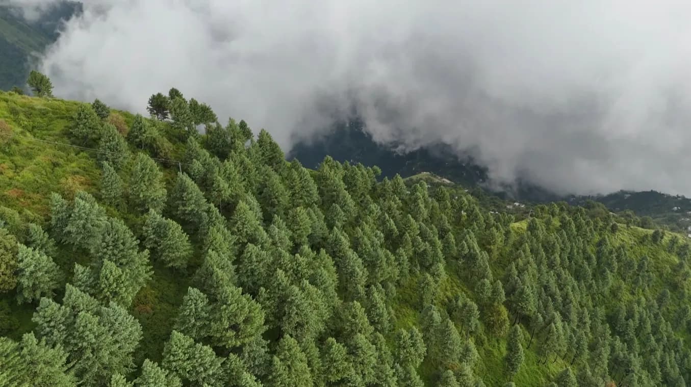 5 Days Neelum Valley Tour