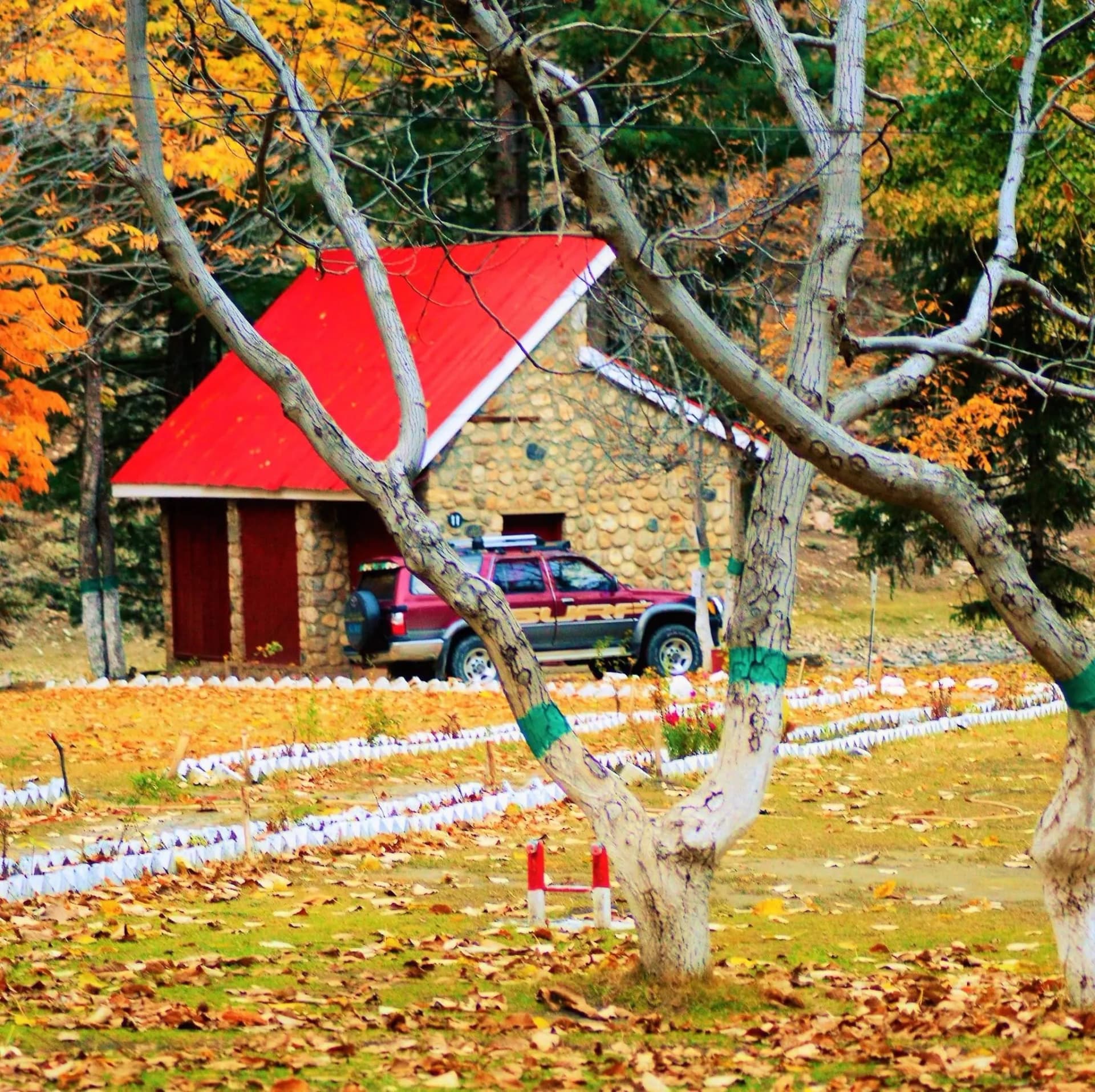 Autumn in Naran Kaghan — stone cabin, red roof and fall leaves, October season