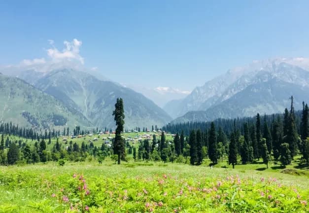 Arrang kel Neelum Valley