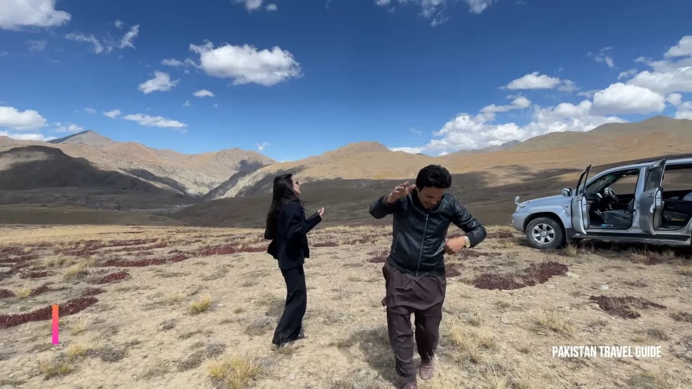 Deosai Ali Malik Top