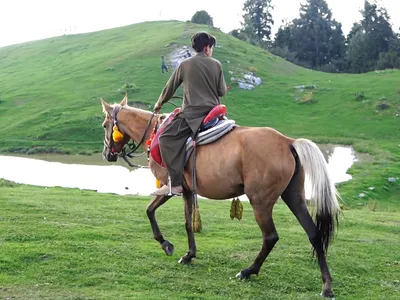 2 Days Mushkpuri Tour — Pakistan Travel Guide
