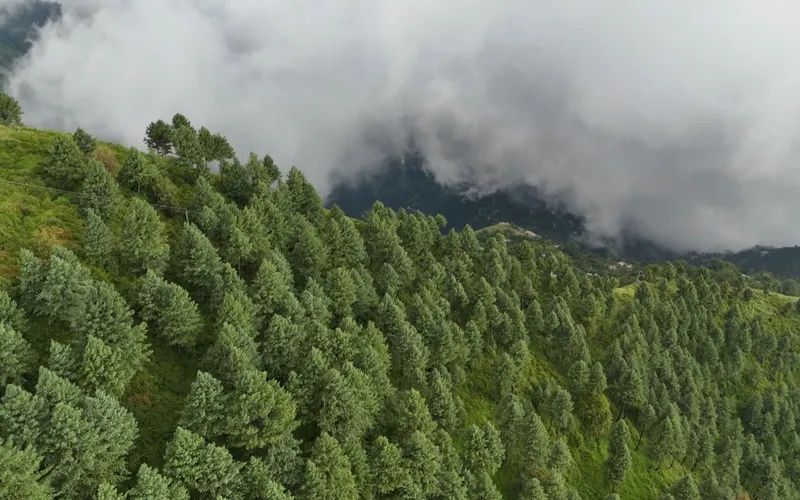 5 Days Neelum Valley Tour