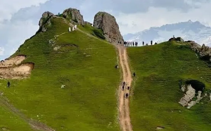 Badgoi Top