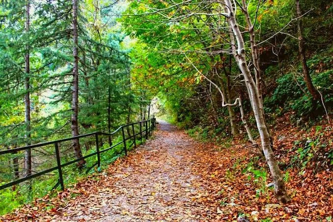 Nathiagali 